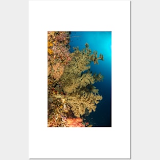 Green soft coral indonesian channel Posters and Art